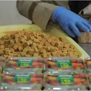 پودر عناب داخل قالب ریخته می‌شود.