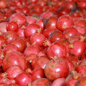 دوربین با حرکت پن روی تعدادی انار در قاب حرکت می‌کند.