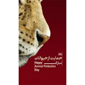 بنر مناسبتی روز حمایت از حیوانات طرح 2