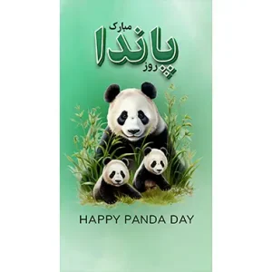 بنر مناسبتی روز پاندا 2
